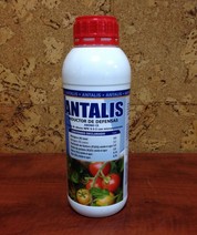 ANTALIS (1 Lt.)