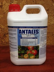 ANTALIS (5 lts)